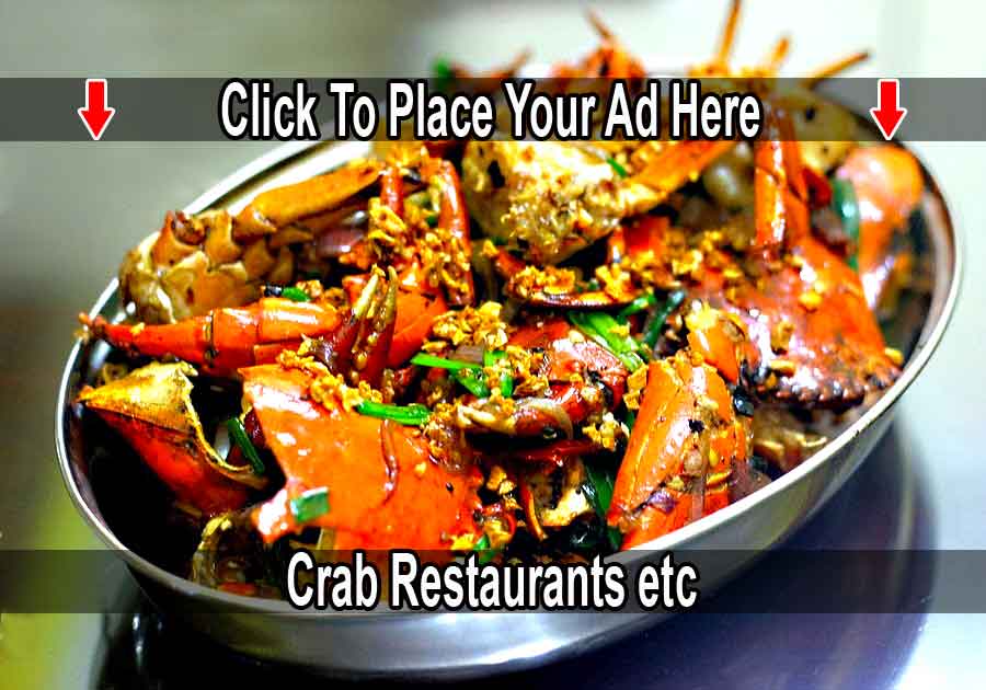 sri lanka crab crabs restaurants in sri lanka web ads portal